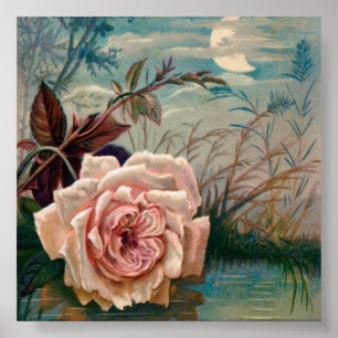 Moonlight Rose Serenade Poster