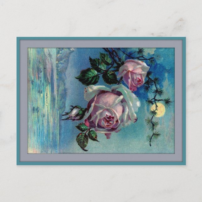 Moonlight Roses A Postcard (Front)