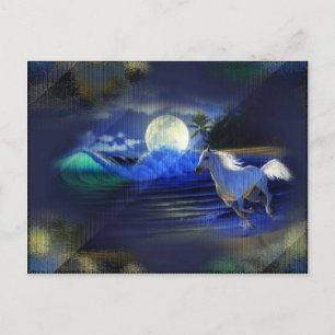 Moonlight Run Postcard
