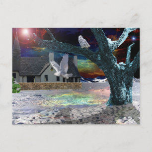 Moonlight shadow.. postcard