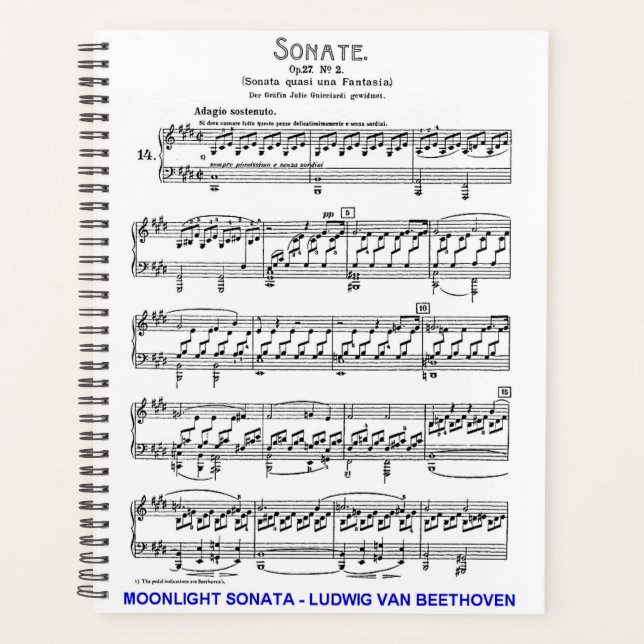 Moonlight-Sonata-Ludwig-Beethoven Planner (Front)
