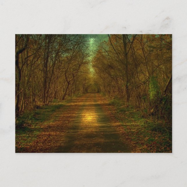 moonlight walk Lynchburg City Trails Postcard (Front)