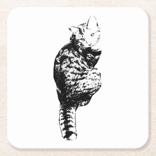 Moonlit Cat Gaze Square Paper Coaster