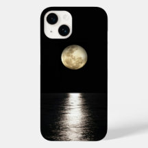 Moonlit Night