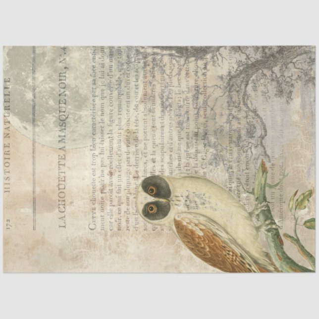 Moonlit Owl Decoupage Tissue Paper (Front)