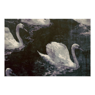 Moonlit Swan Lake Poster