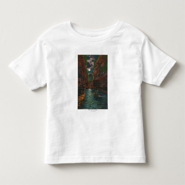 Moonlit View of the Flume Toddler T-Shirt (Front)
