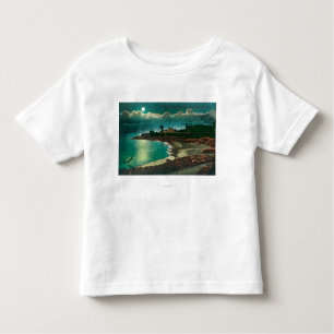 Moonlit view of the Vue de l'EauSanta Cruz, CA Toddler T-Shirt