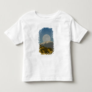 Moonrise over the Sangre de Cristo Mountains, Toddler T-Shirt