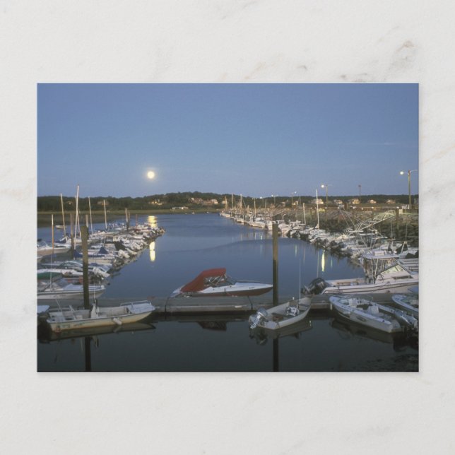 Moonrise over Wellfleet Harbour Cape Cod Postcard (Front)