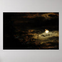 MoonShine and Storm Clouds