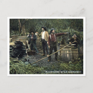 Moonshine in Old Kentucky Vintage Postcard