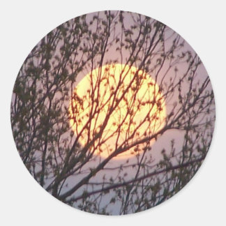 moontree classic round sticker