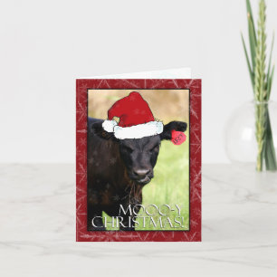 Moooo-y Christmas! Holiday Card