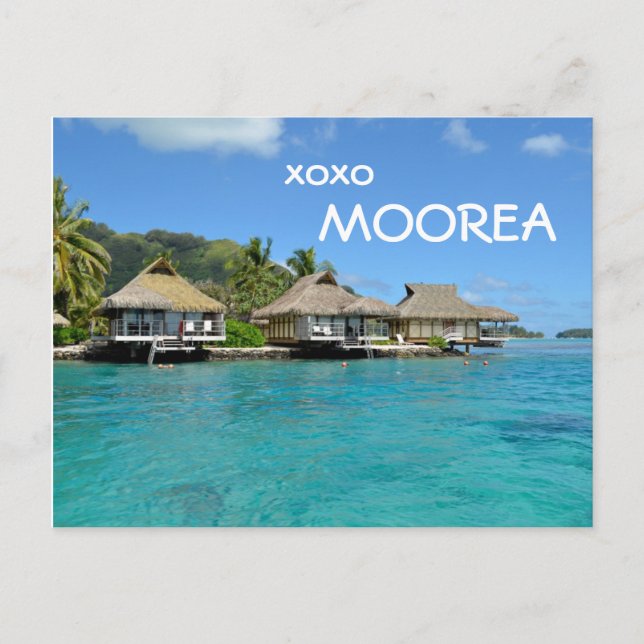 Moorea bungalows with text: 'xoxo Moorea' postcard (Front)