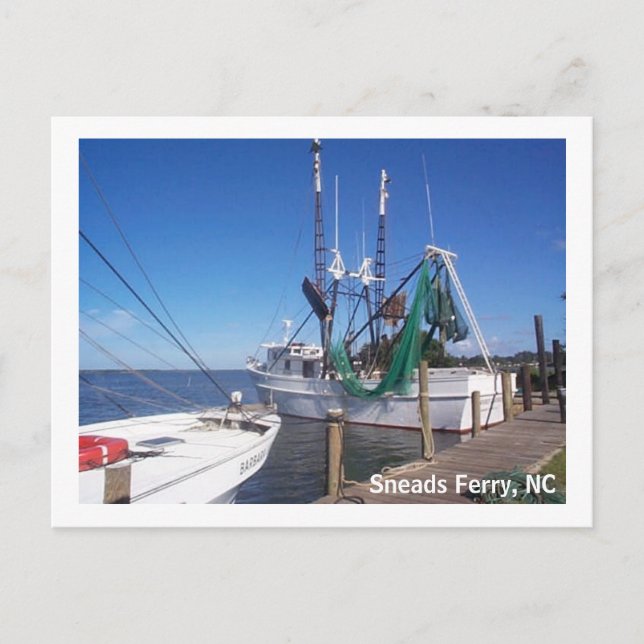 Moored Shrimp Boats Postcard (Front)