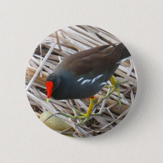 Moorhen 6 Cm Round Badge