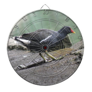 Moorhen Dart Board