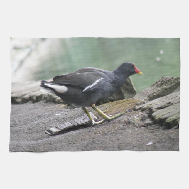Moorhen Kitchen Towel (Horizontal)