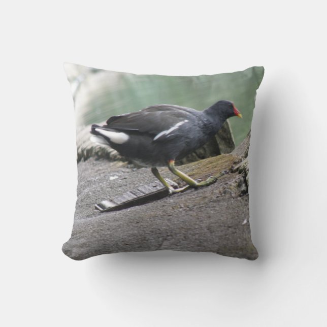 Moorhen Pillow (Front)
