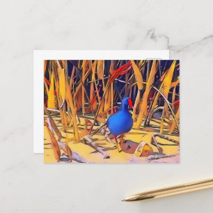 Moorhen Postcard