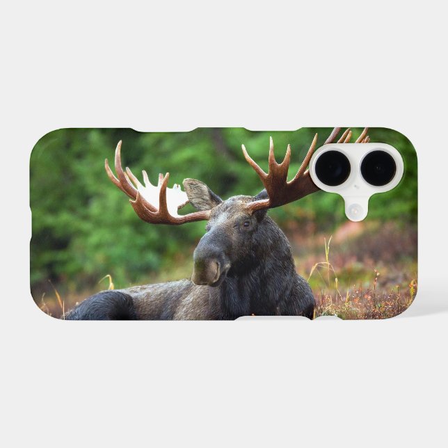 Moose (Back (Horizontal))