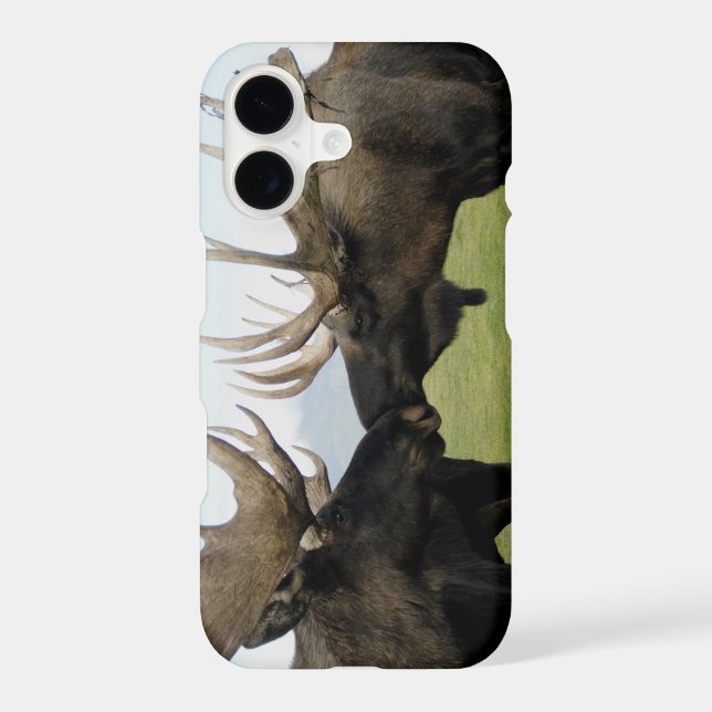 Moose (Back)