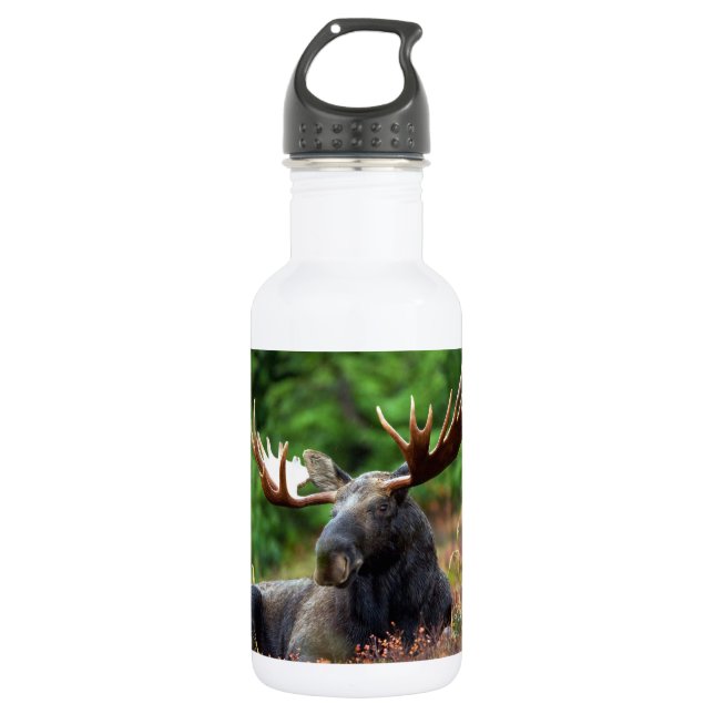 Moose 532 Ml Water Bottle (Front)