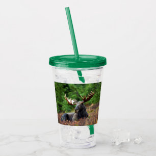 Moose Acrylic Tumbler