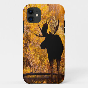 Moose (Alces Alces) Bull In Golden Willows 2 Case-Mate iPhone Case