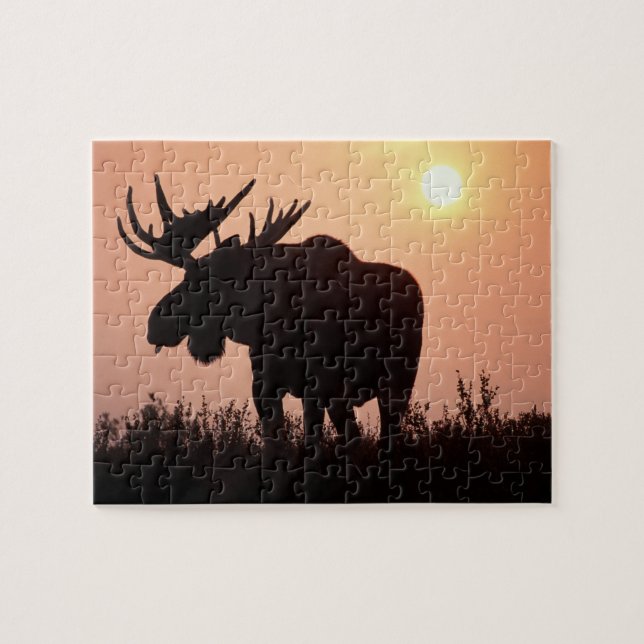 moose, Alces alces, bull with large antlers, Jigsaw Puzzle (Horizontal)