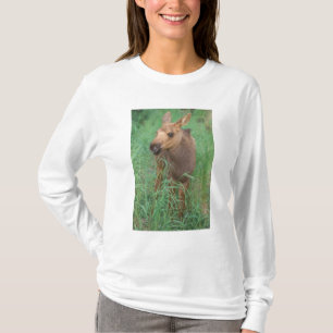 moose, Alces alces, newborn calf stands T-Shirt