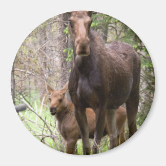 Moose Animal Forest Peace Love Destiny Magnet
