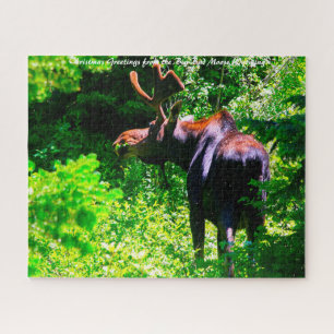 Moose at Grand Tetons. Christmas Greetings Jigsaw Puzzle
