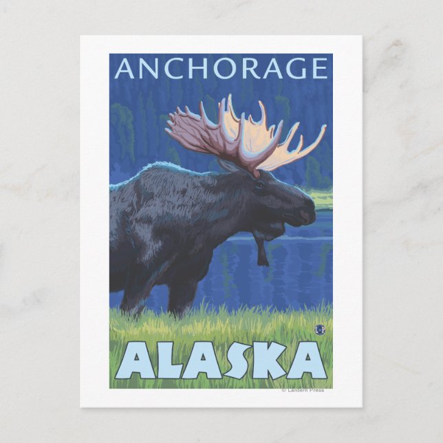 Moose at Night - Anchorage, Alaska Postcard (Front)