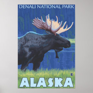 Moose at Night - Denali Nat'l Park, Alaska Poster