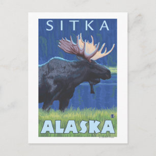 Moose at Night - Sitka, Alaska Postcard