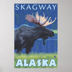 Moose at Night - Skagway, Alaska Poster
