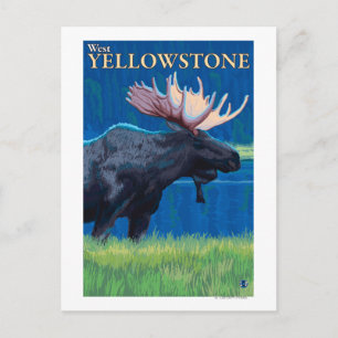 Moose at Night - West Yellowstone, Montana Postcard