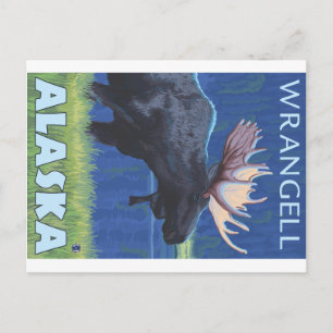 Moose at Night - Wrangell, Alaska Postcard