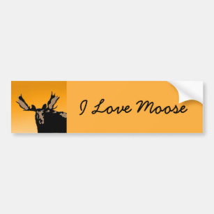 Moose at Sunset  - Original Wildlife Art Bumper Sticker