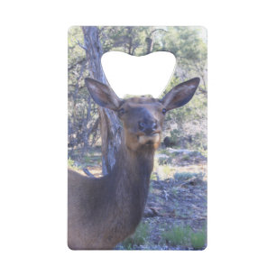 Moose Bottle Opener