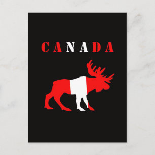 moose canada postcard