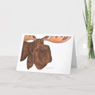 moose_card card