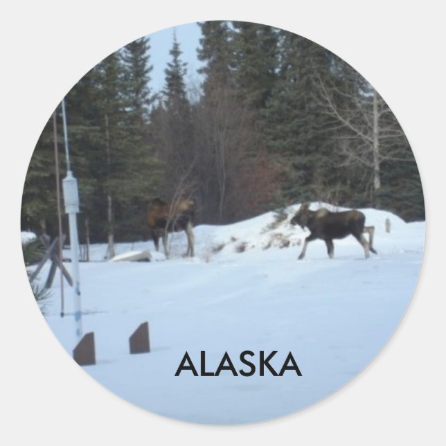 Moose Classic Round Sticker (Front)