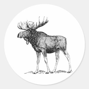 Moose Classic Round Sticker