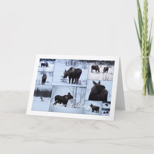 Moose Collage; Happy Birthday Card (Front)