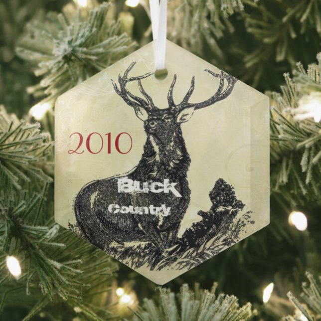 Moose Country Christmas Ornament (Insitu)
