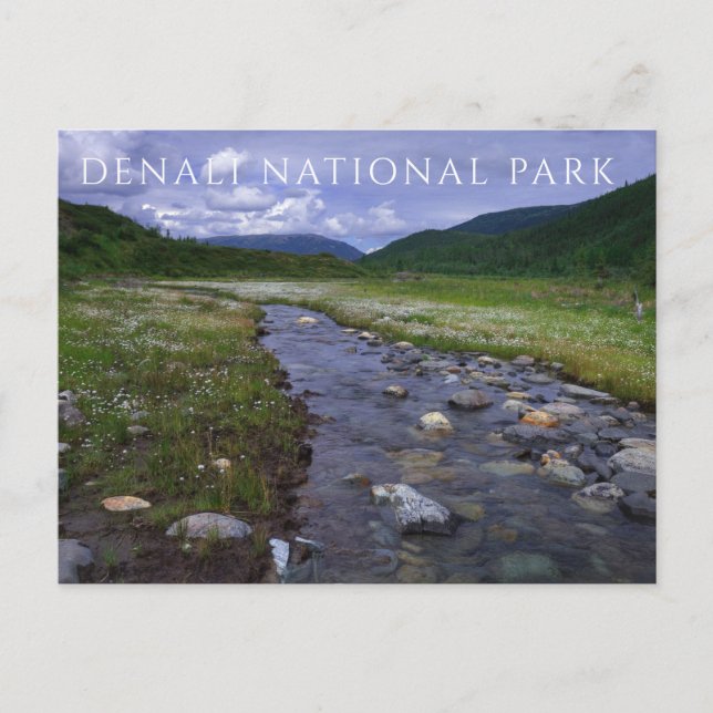Moose Creek, Mountains, Denali National Park Postcard (Front)