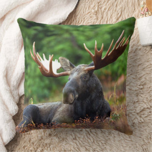 Moose cushion